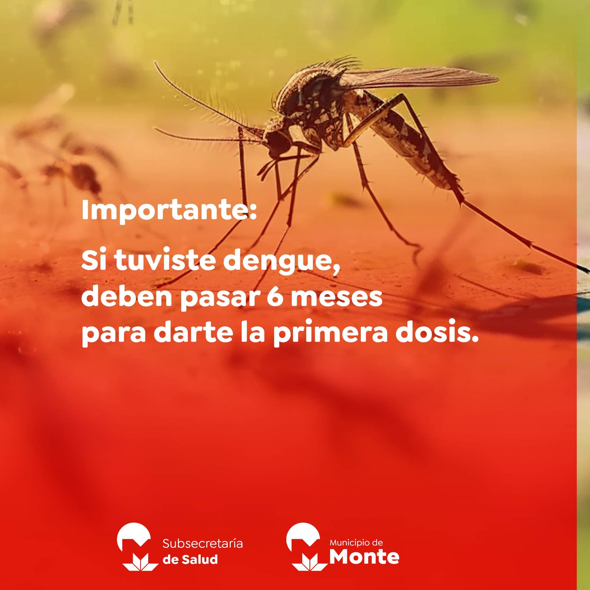 628240586_1339524608204607_7709348293041339495_n