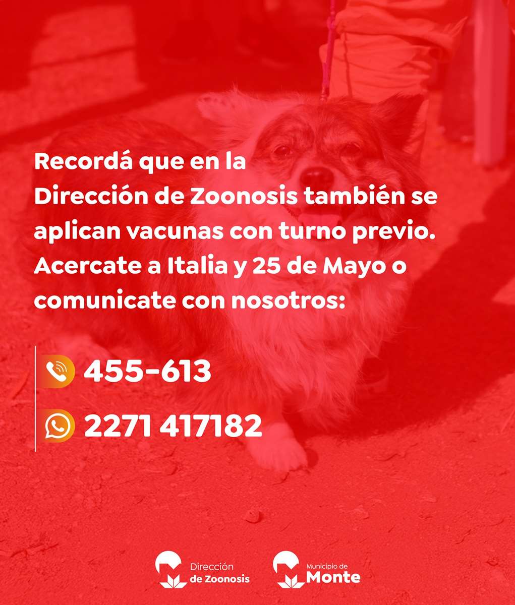 654257679_1379460337544367_4773331047439482578_n