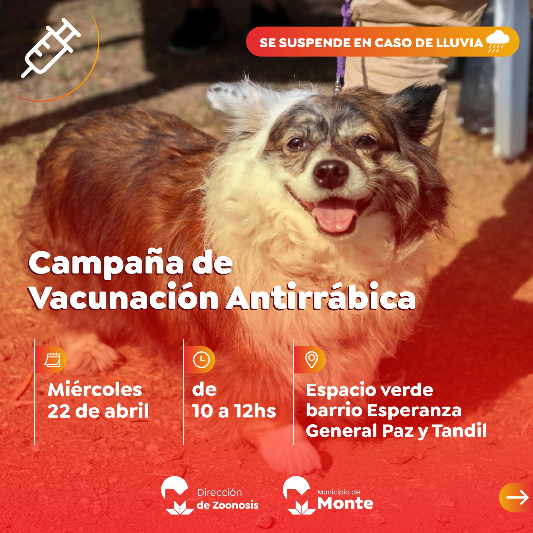 674896828_1407553691401698_8860570212843599663_n